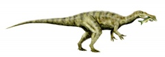 † Baryonyx walkeri(vor etwa 130,7 bis 126,3 Millionen Jahren)